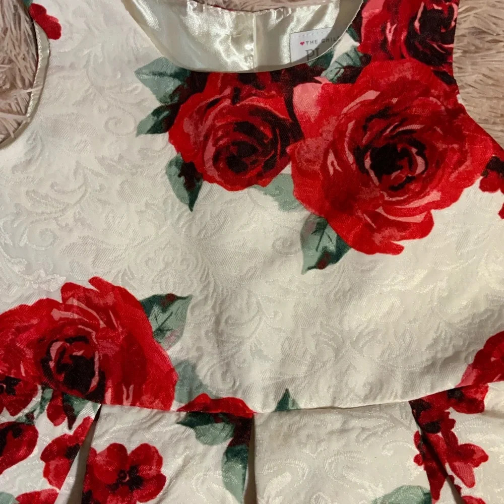 Children’s place Holiday dress size 3T